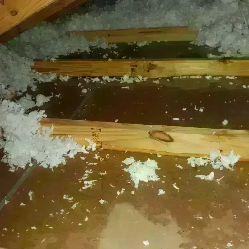 Attic Water Damage in Moville, IA